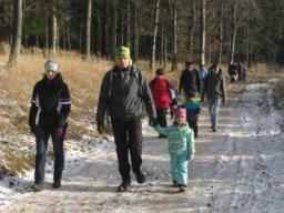 silvestr 2019